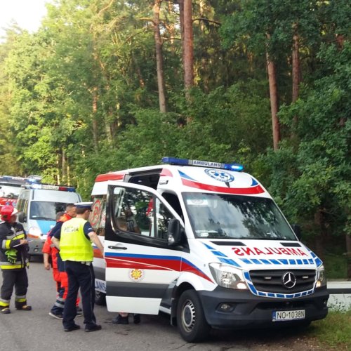 NIE CHCIAŁ UDERZYĆ W SARNĘ – WJECHAŁ DO ROWU