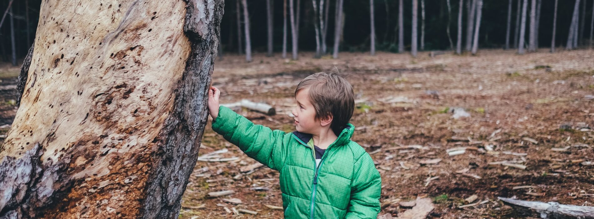 Wycieczka do lasu – jak ochronić dziecko przed kleszczem